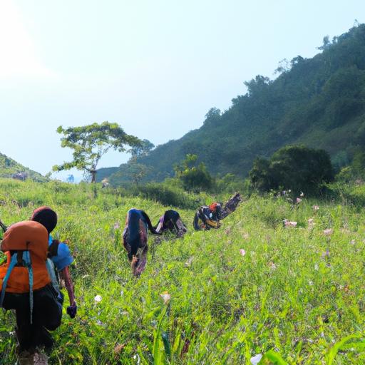Đoàn khách du lịch đi bộ đường dài tại Tam Giác Vàng